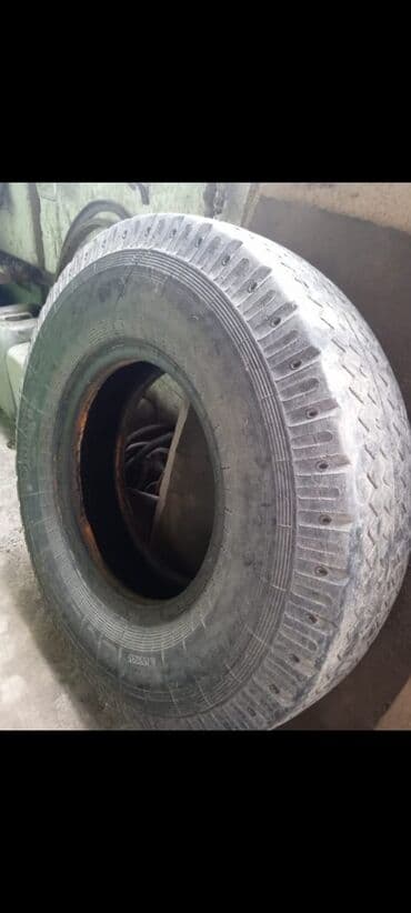 шины для трактора мтз 82: Kamaz tekeri 300-lük — 2