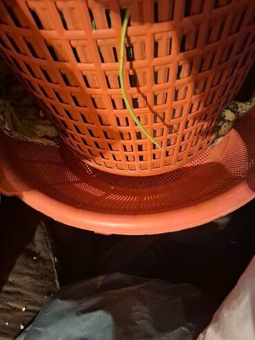 kafel kuxna ucun: Boyuk suzgec plasdikdi altinda olandi satilan — 1