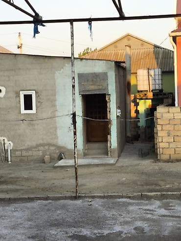 142: Tikinti — 1