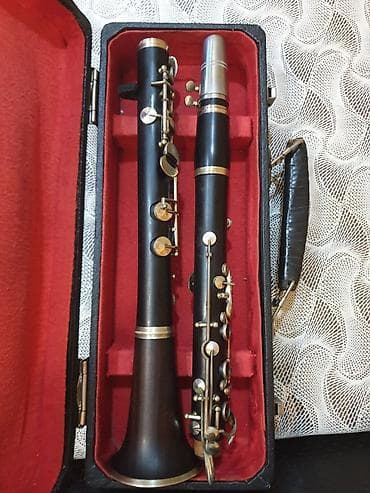 купить синтезатор бу: A klarnet fritz qanburq və hüller əla vəziyətdə ağac kökü iynə kimi — 6