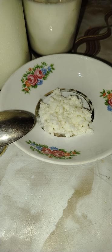 keci sudu satilir: Kefir mayası. Salam. Təbii kefir mayası satılır Təmiz və sağlam ev — 3