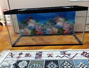 Akvarium satlir 120 manata alinib 100 litirdi hecmi qabaq wuwesi