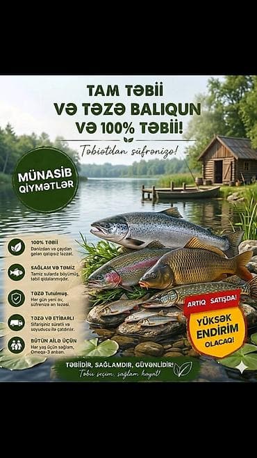 su sayğacı: Salyan və Neftçalanın duzlu(şor), Tam təbii və təzə balıq – 100% — 1