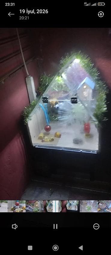 akvarium lampa: Məhsul: Dekorativ işıqlı akvarium/teraryum vitrin-kabinəsi Təsvir: - — 4