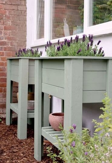 meyve agaci: Dibçək sexi. 📍Ünvan : Qala #Dibçək #Dibçək #Güldan #Güldan #Agac — 1