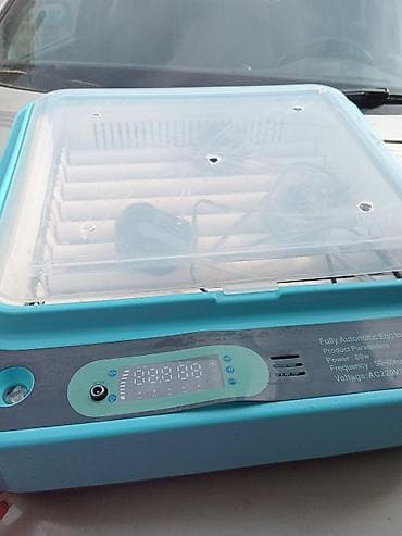 i̇nqubator: 50 yumurta, Tam avtomat — 3