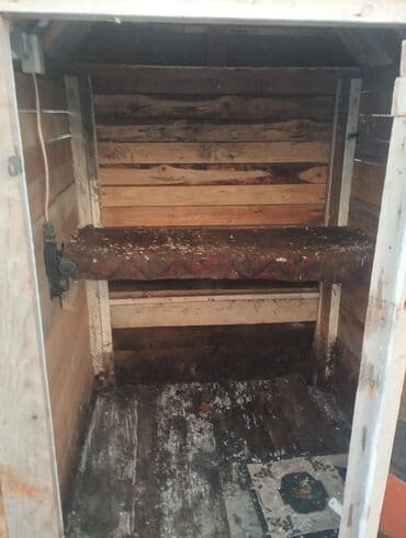 lalafo itlərin satışı: Gögercin yuvasi satılır — 4