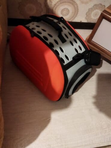 ag pisik qiymeti: Şotland, Erkək, Ünvandan götürmə — 3