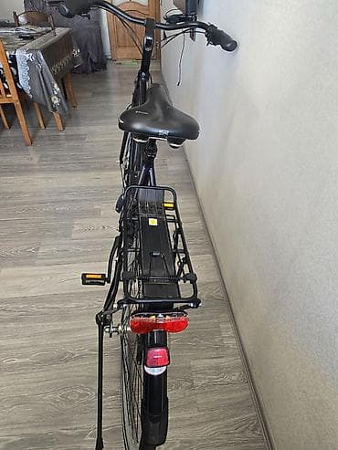 Elektrik velosipedlər: Alman Velosipedi — 1