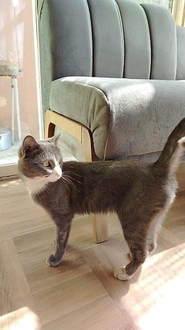 Erkək, Yaxşı əllərə