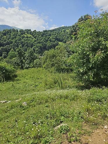 yol qiragi: Tikinti — 1