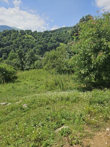 mərdəkanda torpaq: Təbiətin qoynunda yerləşən bu torpaq sahəsi kənd mühitində sakit və — 8