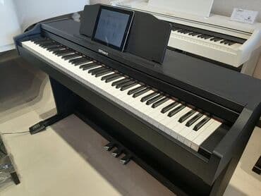 elektro piano: ELEKTRON PİANO.Roland RP102 BK Yapon mütəxəsisslərinin ərsəyə — 1