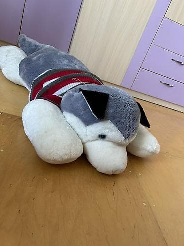 usaq ucun at: Böyük ölçülü yumşaq oyuncaq – husky peluş oyuncağı. Husky iti olanlar — 1