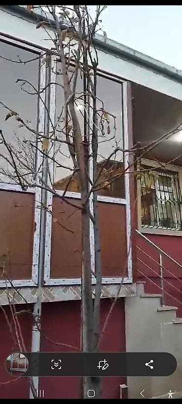 Balkon kapatma plastik. Kəyfi̇yətli̇. Sərfəli̇. Sürətli̇