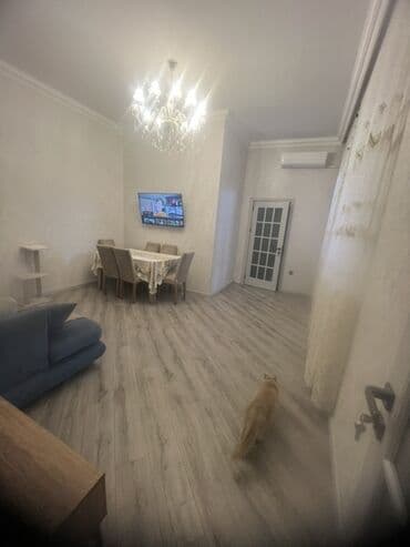 memar ecemi kiraye: 4 otag - Zal: Geniş və işıqlı otaq, kristal lüstrlü asma tavan — 18