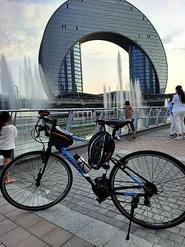 Şəhər velosipedi Trinx, 28", sürətlərin sayı: 21