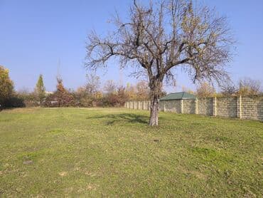 torpağ sahəsi: 20 sot, Tikinti, Mülkiyyətçi, Kupça (Çıxarış) — 8