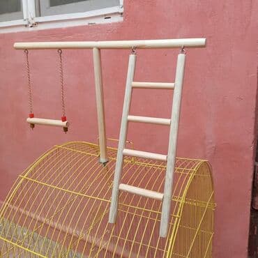 it yemeyi qiymeti: Oyuncaqlar tebii ağacdan hazirlanib. Aksesurlara göre qiymet deyişir — 7