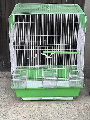 Quş qəfəsi – geniş və funksional model - Rəng: yaşıl altlıq və dam