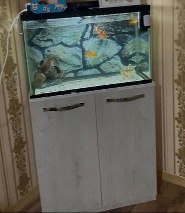 Akvaryum komplekti - Şüşə akvariyum almisam 170 manata alt skafi ile — 1