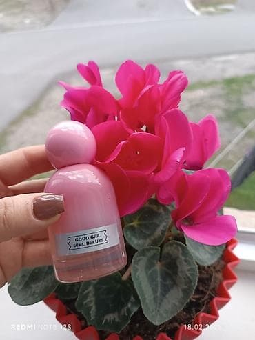 Bədənə qulluq: Məhsul: 50 ml “Deluxs” qadın ətirləri kolleksiyası Variantlar: - — 2