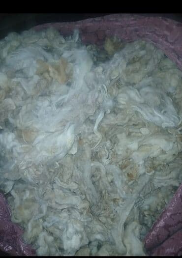 покрывало на диван: Təbbi Qoyun yunudu Kilosu 5.50-AZN dan 16 kilo var əldə İsdiyən əlaqə — 1