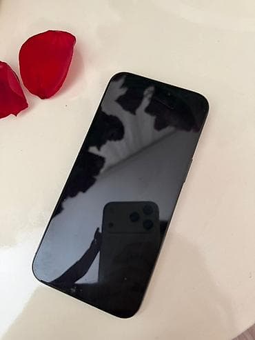 ipona: IPhone 15 Pro Max, 256 GB, Qara, Face ID — 3