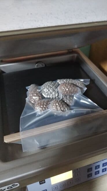 сушилка для фруктов купить в баку: Vakum aparat vakum paketleme. Vakuum Alman model. Super sürətli ve — 2