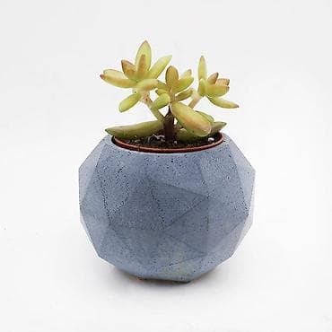 Beton sukulent qabı – çoxbucaqlı dizayn - Material: yüksək möhkəmliyə
