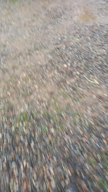 bağ üçün işıqlar: Məhsul: Çınqıl/çay daşı (fraksiya qarışıq) Təsvir: - Tikinti — 2