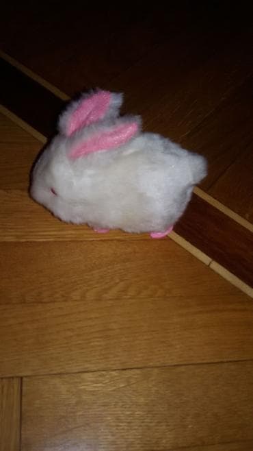 sederek xonca instagram: Təzədir hər biri — 6