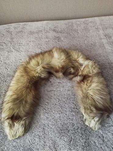 Шубы: Шуба — 1