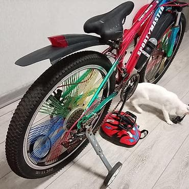 bicycle 26: Sekilde ne varsa hamsi satilir velosiped 1 her bir şey satilir real — 4