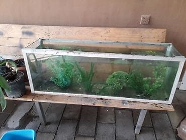 akvarium satisi: Akvaryum və şkaf komplekti - Şüşə akvaryum: düzbucaqlı forma, ön və — 1