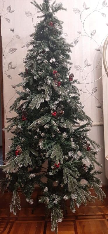 yolka satışı: Yolka satilir 100azn — 1