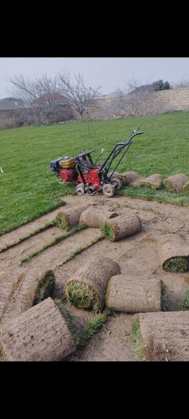 YaşılAz sizlərə münasib qiymətə yüksək keyfiyətli hazır qazon təqdim