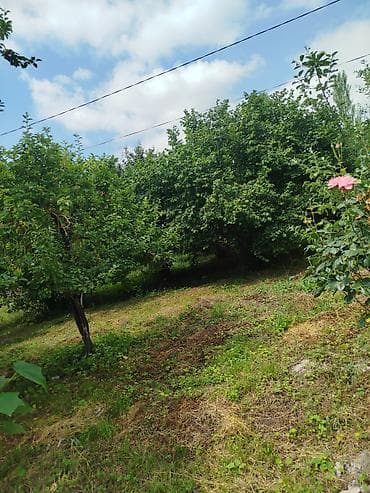 12 sot, Tikinti, Mülkiyyətçi, Kupça (Çıxarış) — 6