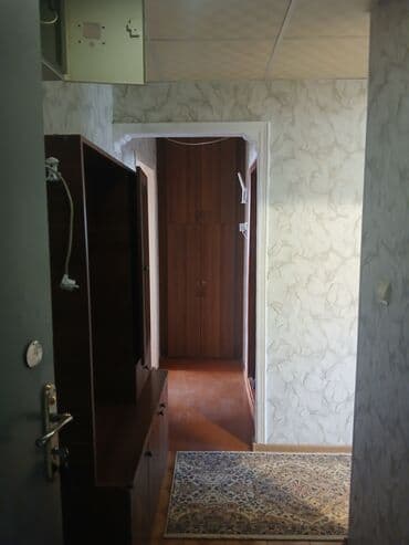 Bağ evləri: Mənzilin təsviri Binə qəsəbəsi 136 nömrəli tam orta məktəbin yanında — 1