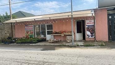 sarayda torpag: Biznes üçün, İşıq — 3