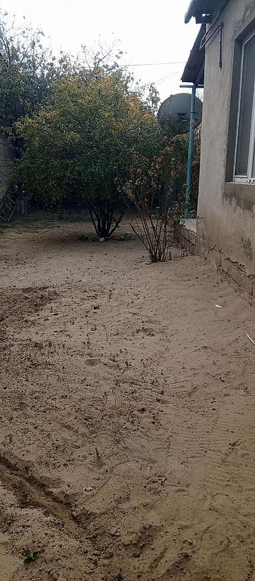 lipa: 2 sot, Kənd təsərrüfatı, Mülkiyyətçi, Kupça (Çıxarış) — 6
