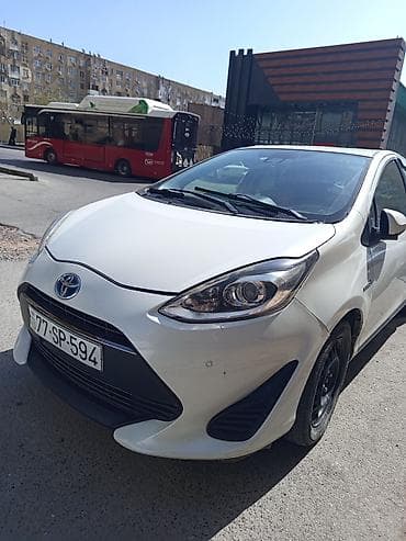 heyvan sekilleri cekmek: Günlük, Depozitlə, Qalmaq şərti ilə — 4