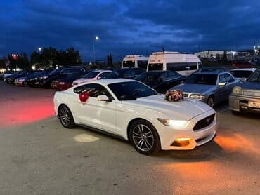 ломбард без изъятия авто бишкек: Ford mustang 2018 toy nişan və digər tədbirlər üçün sifariş edə — 7