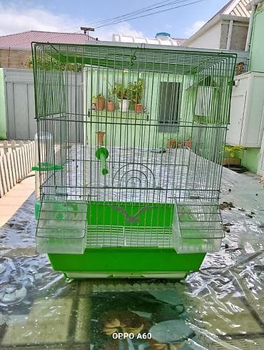 quş qefes: Quş qəfəsi – yaşıl/ağ metal konstruksiya - Material: möhkəm metal — 2