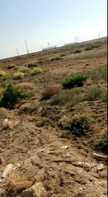 torpaq lokbatan: 30 sot, Tikinti — 1