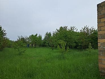 ag seher evler satilir: Alekseevka, 8 kv. m, 4 otaqlı, Qaz, İşıq, Su — 4