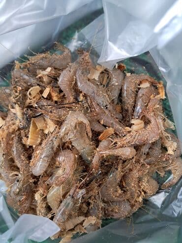 Yarmalar və paxlalar: Krevetka ciy donmus teze yigilib balıq tutmaq üçün esasen sazan ve — 1