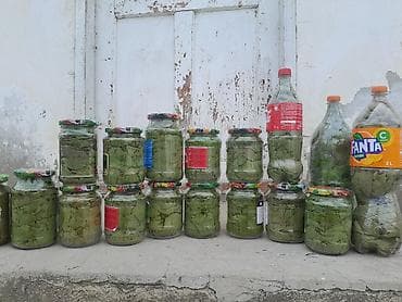 Ləpələr: Yarpaq sayilir oz heyeyimin tebii yarpagidi 500 qramliq banka 2 azn — 1