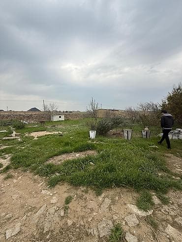 bine savxoz ev: Bakı, Türkan qəs., 1 kv. m, 3 otaqlı, Hovuzsuz — 3