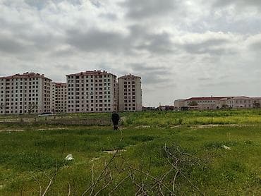 Kənd təsərrüfatı, Kupça (Çıxarış)